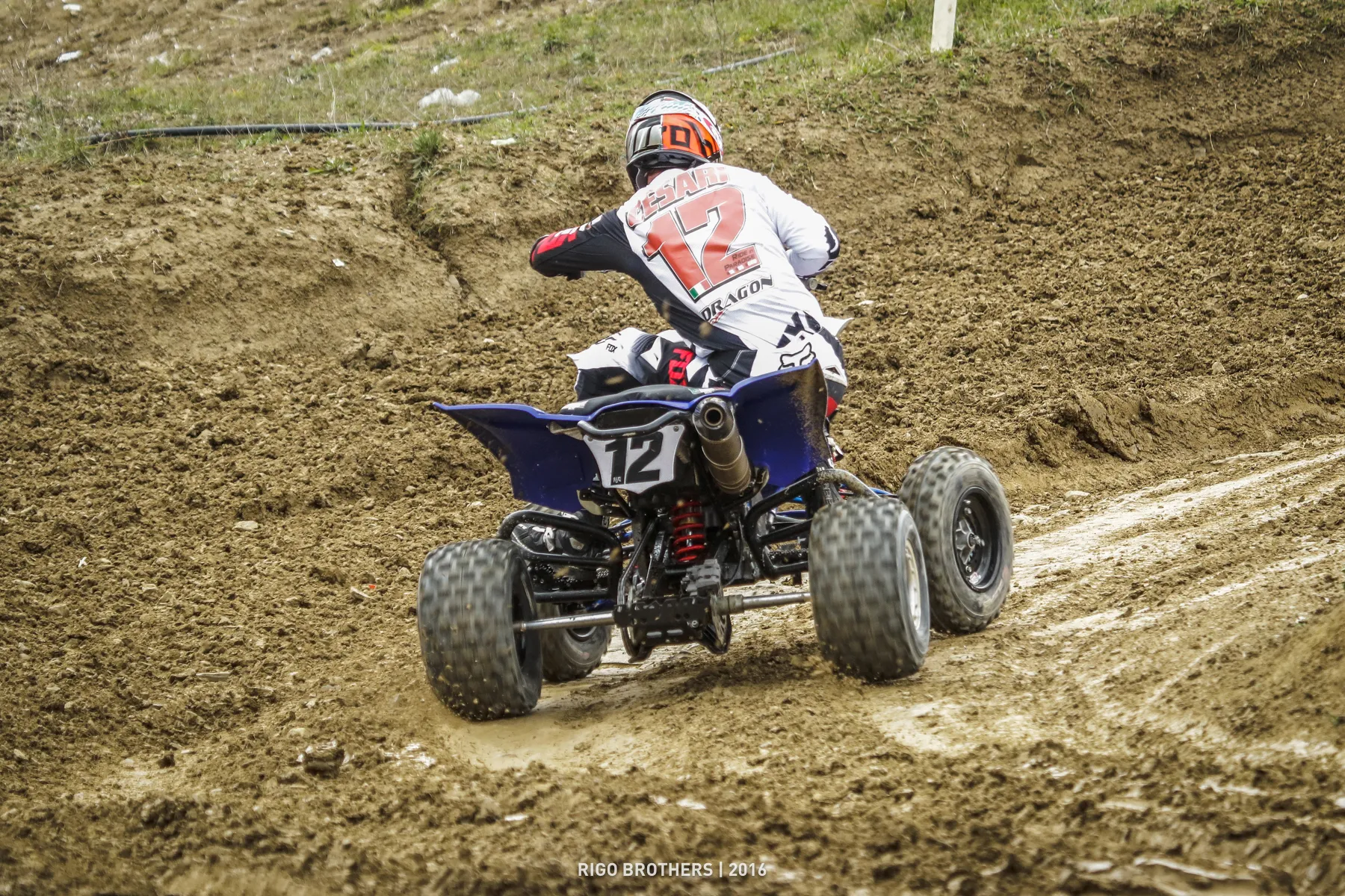 Andrea Jr. Cesari